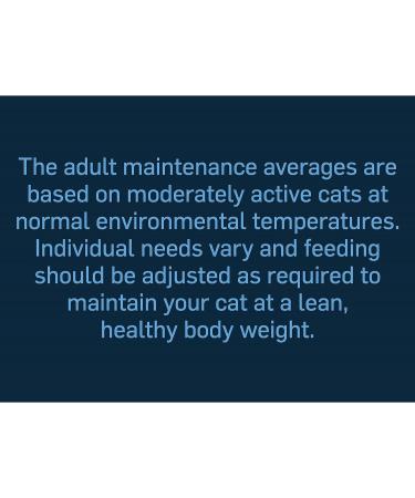 Felix Deliciously Sliced Adult Wet Cat Food Ocean Selection 12x80g Pack of 4 Ocean 960 g (Pack of 4) - Buy Online on GoSupps.com