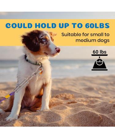 Barporary 3m Dog Cable Runner - Durable Stainless Steel for Large Dogs up to 120lbs | Lockable Hooks & Violet Design - Buy Online on GoSupps.com