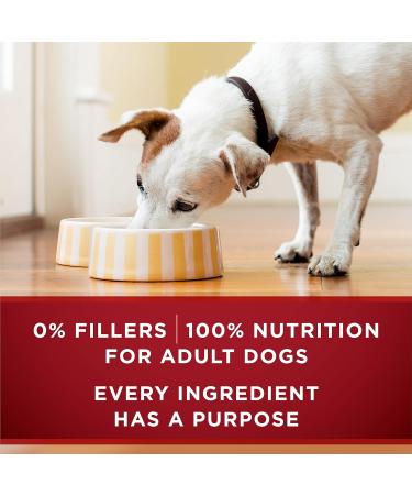Purina ONE Classic Ground True Instinct Wet Dog Food Variety Pack 2 Flavours - 368 g Can (6 Pack) - Buy Online on GoSupps.com