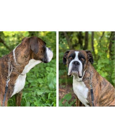 HAPPY HACHI Half Check Dog Collar | Martingale Collar for Medium to Large Dogs | Training and Walking Collar | Silver, Size S 30-43cm - Buy Online on GoSupps.com