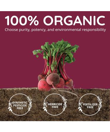 Organic Beet Root Capsules 1300mg - Blood Pressure Support & Nitric Oxide Supplement | Antioxidant & Brain Food | Vegan 60 Ct - Superfood for Better Circulation - Buy Online on GoSupps.com