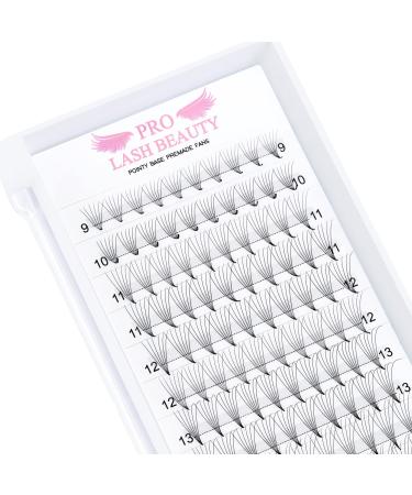 Premade Fans Eyelash Extensions 6D-C-0.10-13 Premade Volume Lash Extensions Pointed Base Fans 0.07 Premade Volume Fans C D Curl(6D-C-0.10 13mm)