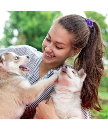 17-Piece White Scrunchies & Headbands Set for Women & Girls - Hair Accessories for Tie Dye, Includes 12 Scrunchies & 4 Headbands - Buy Online on GoSupps.com