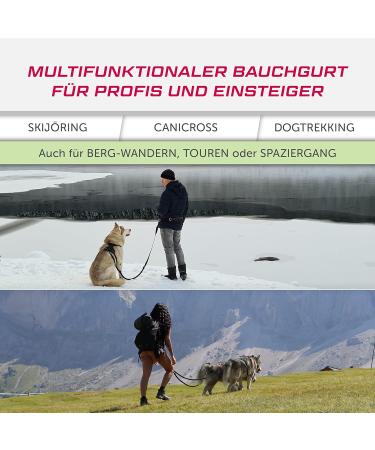 LASALINE Canicross Belt | Dog Leash & Dogtrekking Belly Belt in Black & Blue | Comfortable & Durable for International Shipping - Buy Online on GoSupps.com