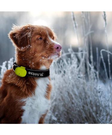 KIPPY Silicone Cover for Evo Cat & Dog GPS Tracker | Protective Case with Button Closure | Durable Collar Attachment - Buy Online on GoSupps.com