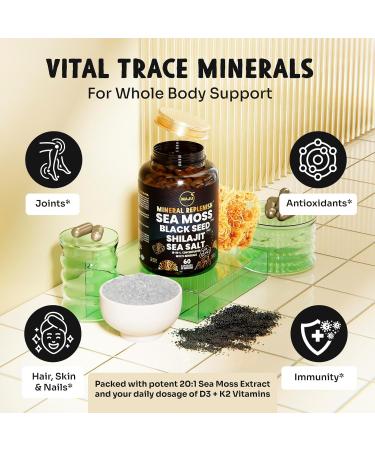 Maju Superfoods 18-in-1 Sea Moss Black Seed Shilajit Sea Salt + D3 & K2 Concentrated Extracts Trace Multi Mineral Capsules for Men & Women Mineral Electrolytes Supplements Mineral Replenish Capsules 60 Count (Pack of 1) - Buy Online on GoSupps.com