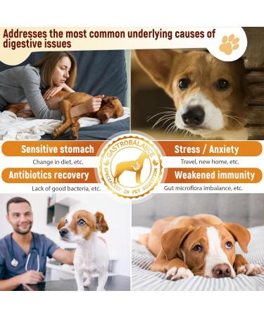 GastroBalance Advanced Probiotics for Gut Health - 60 Vet Recommended Natural Probiotic Chews (Chicken Flavor) - Buy Online on GoSupps.com