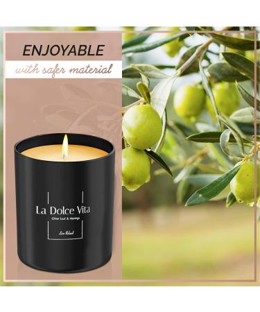 Relaxd Premium Olive Leaf & Moringa Scented Soy Wax Candle - La Dolce Vita | Hand Poured Aromatherapy Essential Oil Candle - Buy Online on GoSupps.com