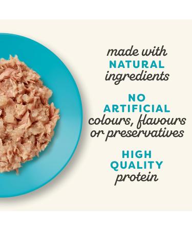 Applaws Natur Tuna Fillet with Salmon in Jelly - 24 x 70g Premium Wet Food for Adults - 1.68 kg Pack - Buy Online on GoSupps.com