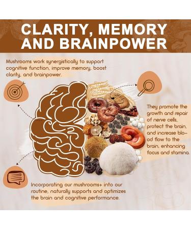 NATURE TARGET Mushroom Supplement, Mushroom Complex with Lion's Mane, Turkey Tail, Reishi, Cordyceps, Shiitake, 14-in-1 Mushrooms for Memory and Focus, 120 Capsules 120 Count (Pack of 1) - Buy Online on GoSupps.com