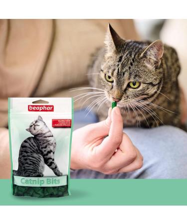 Beaphar Catnip Bits for Cats - Delicious Cat Snacks with Catnip - 150g Pack | International Shipping Available - Buy Online on GoSupps.com
