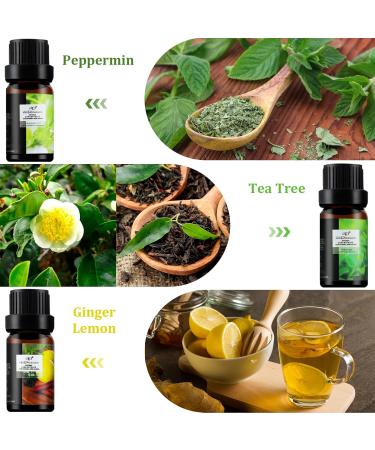 Fresh Essential Oils Set - 6x10ml Aromatherapy Gift Kit for Diffusers & Humidifiers - Tea Tree Lavender Peppermint & More - Buy Online on GoSupps.com