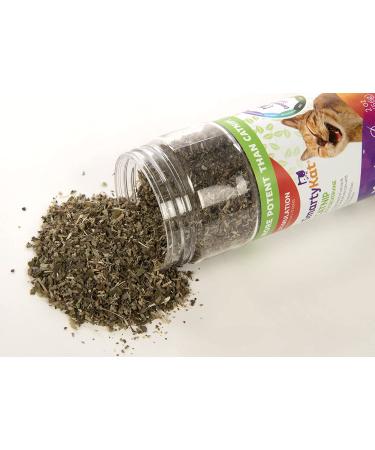 SmartyKat Catnip & Silvervine Blend Shaker Canister - 2oz | For Cats & Kittens - Buy Online on GoSupps.com