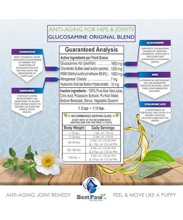 Best Paw Nutrition Liquid Glucosamine Chondroitin for Dogs - Hip Dysplasia & Joint Pain Relief - Canine Health Food Supplement - Natural Pet Vitamins with MSM for Dog Mobility Support - 32oz - Buy Online on GoSupps.com