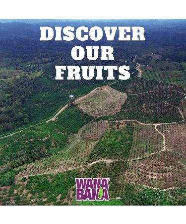 Wanabana 100% Real Fruit Pulp for Juice Making Variety Pack - Soursop, Passion Fruit, Guava - 17.64 Ounce (Pack of 3) - Buy Online on GoSupps.com