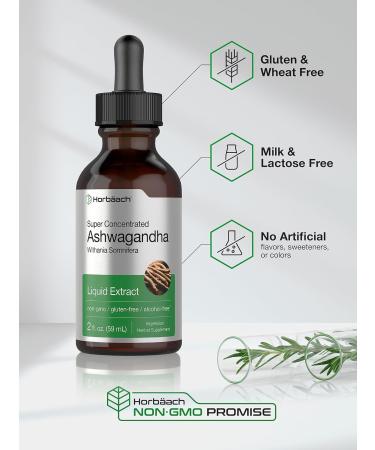 Horb ach Ashwagandha Root Liquid Extract | 2 fl oz | Alcohol Free Tincture | Vegetarian Non-GMO Gluten Free Supplement - Buy Online on GoSupps.com