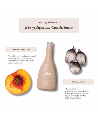 Shibui Conscious Color Care Everydayness Conditioner - Silicone Free Peach & Babassu Oils | Healthy Hair for Fine to Medium Hair - 12 Fl Oz - Buy Online on GoSupps.com