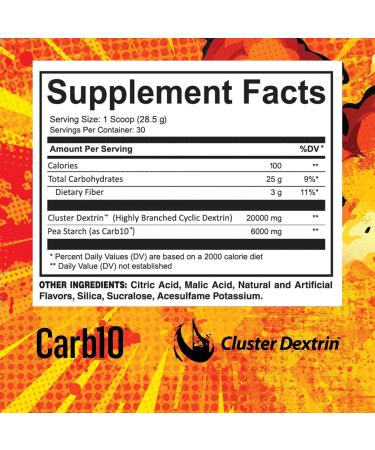 Fuel Point Endurance Training | Superior Carbohydrate Formula for Muscles | Reduce Fatigue & Improve Performance (Raspberry Lemonade) - Shop Internationally - Buy Online on GoSupps.com