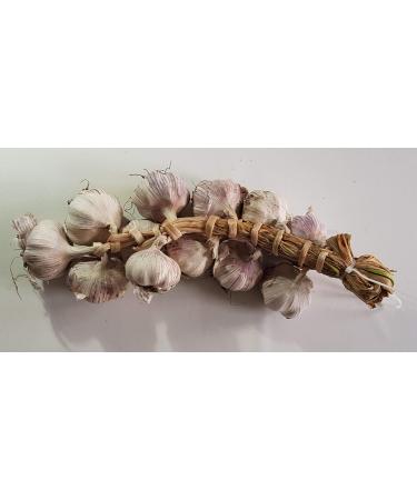 youdreamitaly Garlic Braid - Offer 3 Pieces - Buy Online on GoSupps.com