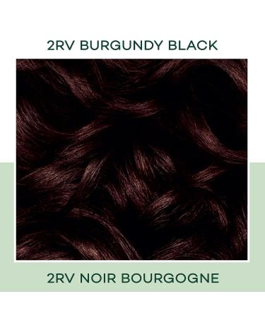Clairol Natural Instincts 2RV Burgundy Black Hair Dye 5.85 Fl Oz - Demi-Permanent Hair Color - Buy Online on GoSupps.com