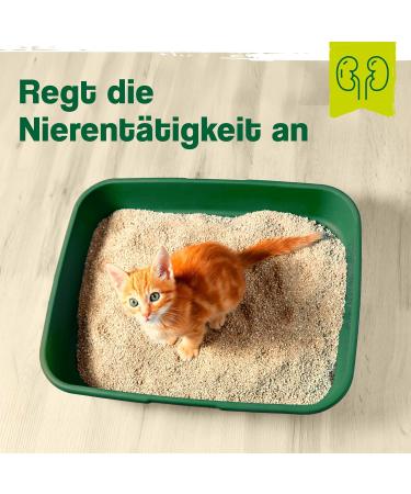Ida Plus Renal Care Mini Sticks for Cats - Supports Kidney Health & Urine Excretion - 80 pcs - Phosphate & Uremic Toxin Control - Buy Online on GoSupps.com