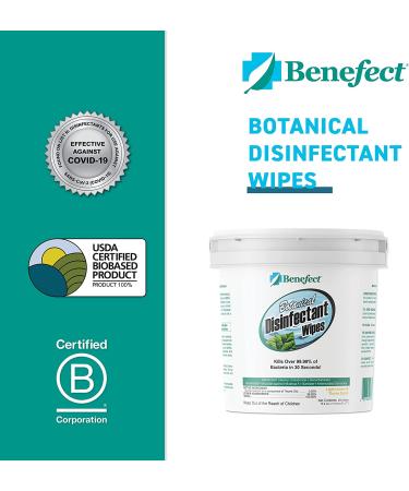 Benefect Botanical Disinfecting Wipes - (250 Wipe Count) Natural  No Residue - Antibacterial Disinfectant  Multi-Surface Cleaning and Sanitizing Wipes 250 Count (Pack of 1) - Buy Online on GoSupps.com
