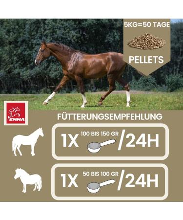 Emma Mineral Feed for Horses - High-Dose Vitamin B Complex Biotin Zinc Selenium Magnesium & Vitamin D - 5kg - Buy Online on GoSupps.com