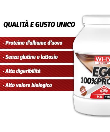 WHY SPORT EGG Protein Powder - 100% Lactose-Free Egg Albumin - Cocoa Flavor - 750g - Premium International Shipping - Buy Online on GoSupps.com