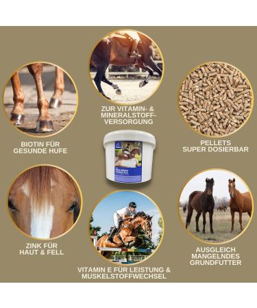 Emma Mineral Feed for Horses - High-Dose Vitamin B Complex Biotin Zinc Selenium Magnesium & Vitamin D - 5kg - Buy Online on GoSupps.com