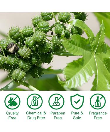 Jamaican Black Castor Oil 2.02 Fl Oz - 100% Pure & Natural Organic Hair Growth & Skin Care | Cold Pressed with Applicator Bottle - Buy Online on GoSupps.com