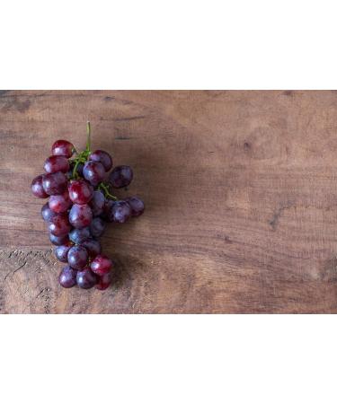 ANTIOXIDANT F4 60 Tablets | Natural Anti-Aging Complex Based on Concentrated Natural Ingredients | Citroflavonoids Goji Pomegranate Grape Green Tea Blueberry and Quercetin | SYNERGIA LABORATORY - Buy Online on GoSupps.com