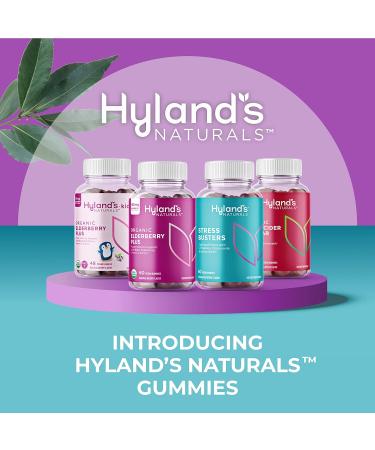 Hyland's Organic Sambucus Elderberry Gummies with Zinc and Vitamin C - Immune Support Supplement for Adults - 2 Bottles of 60 Count - Naturals Adult Elderberry - Buy Online on GoSupps.com