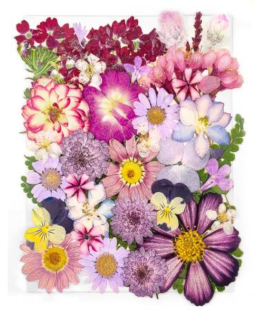 18 Types 37pcs Purple Dried Pressed Flowers for Resin Molds YouthBro Real Natural Pressed Flowers for DIY Art Crafts Candle Making Nails D cor Soap Making Phone Case