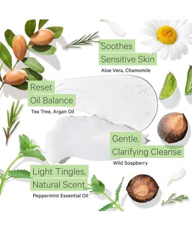 Tree To Tub Sulfate Free Shampoo & Conditioner Set for Oily Hair, Frizz & Sensitive Scalp - Hydrating Argan Oil, Organic Coconut Oil, All Natural Peppermint - Women & Men - Buy Online on GoSupps.com