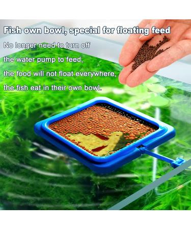 WEAVERBIRD 2PCS Fish Feeding Ring Fish Safe Floating Food Feeder Circle Blue with Suction Cup Easy to Install Aquarium Square and Round Shape for Guppy Betta Goldfish - Buy Online on GoSupps.com