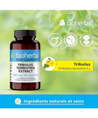 Tribulus Terrestris 300 mg - 60 Capsules: Powerful Boost for Men and Women Erection and Vitality Enriched with Zinc by BIOHERBA - Buy Online on GoSupps.com