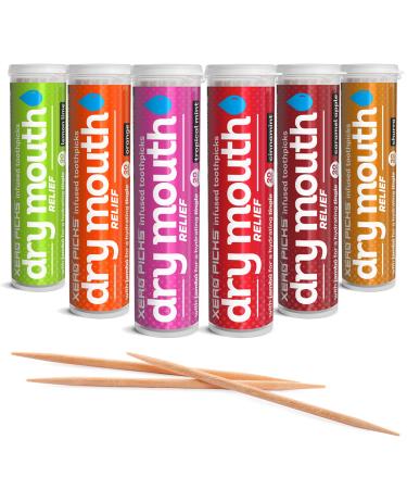 Xero Picks Dry Mouth - Infused Flavored Toothpicks for Long Lasting Fresh Breath & Dry Mouth Prevention (Variety 6 Pack)