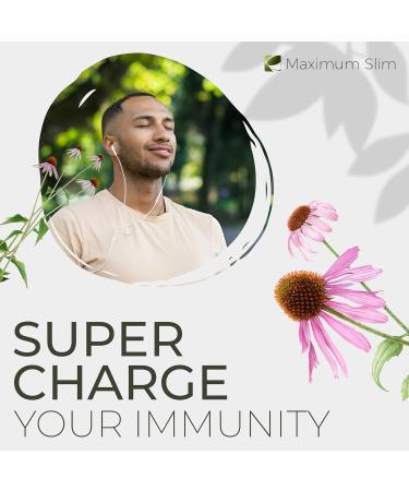 Maximum Slim Immunity Tea - Elderberry Eucalyptus Ginger - Buy Online on GoSupps.com