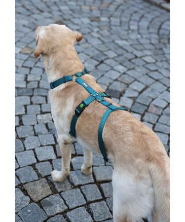 Kerbl 80043 Panic Harness Miami - Escape-Proof Petrol Adjustable 48-70cm | International Shipping Available - Buy Online on GoSupps.com