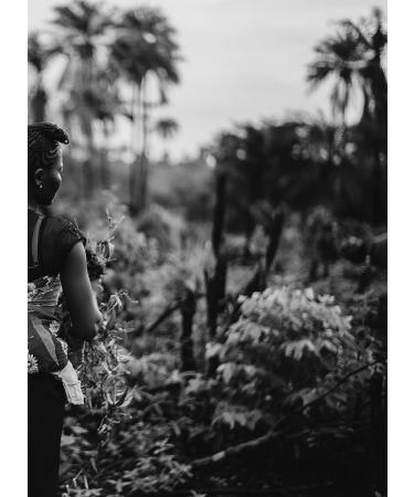 BOCONO SPECIALTY COFFEE Bocon Specialty Coffee Ethiopia Sidamo Washing process Arabica coffee beans 1 Kg Altitude between 2000m 2200m roasted Artisan Always fresh Made in Spain - Buy Online on GoSupps.com