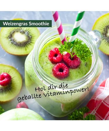 Organic 500g Wheat Grass Powder - Raw Food Quality Additive-Free Gentle Low-Temperature Processing | Winged Swingers - Buy Online on GoSupps.com