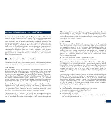 Wellnest Clarkin Test Herbal Bitter Concentrate 100ml | Vegan Darm Detox Kur | Hulda Clark Recipe | With Black Walnut Olive Leaf Clove - Buy Online on GoSupps.com