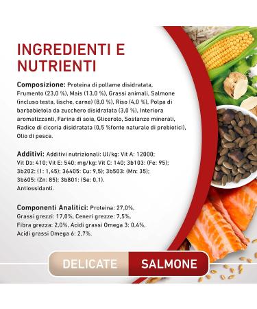 Purina One Mini Delicate Dog Food with Salmon and Rice for Dogs up to 10 kg 8 Bags of 800 g each - Buy Online on GoSupps.com