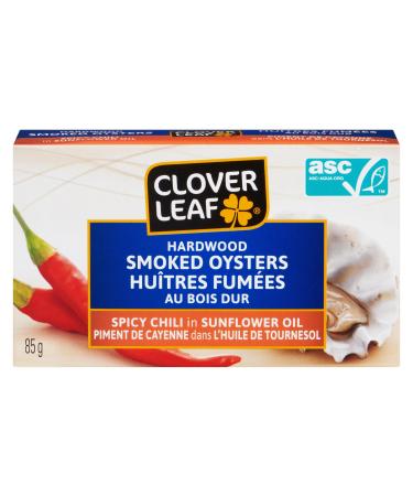 Clover Leaf Smoked Oysters Spicy Chili in Sunflower Oil - 85g 24 Count - Canned Oysters - High in Protein - 13g of Protein Per 65g Serving Drained - Excellent Source of Iron - Hardwood Smoked 85 g (Pack of 24)