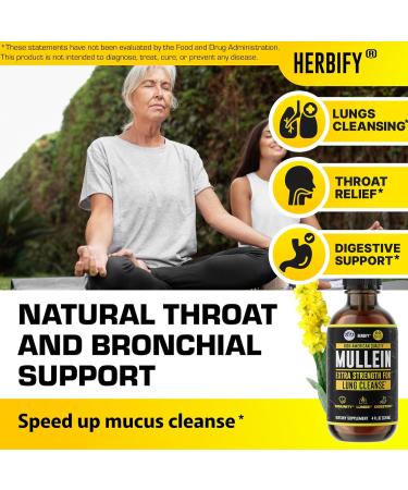 HERBIFY Bundle Lions Mane Capsules & Mullein Drops - Daily Supplement for Memory Focus Clarity & Powerful Lung Cleanse Support - Buy Online on GoSupps.com