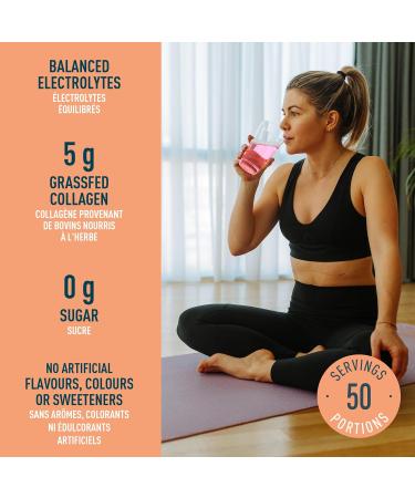 Organika Electrolytes + Enhanced Collagen - Strawberry Peach - Hydration + Protein 600 gram & Electrolytes Defence with Elderberry and Echinacea- Citrus Berry - Immune System Support - Buy Online on GoSupps.com