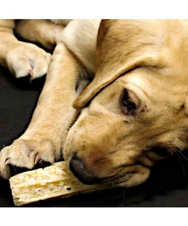 Himalayan Dog Chew Happy Teeth Dental Cheese - 2 Pieces 4 oz | Natural Dental Care Treats - Buy Online on GoSupps.com