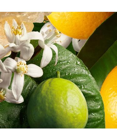 Buy Molton Brown Orange and Bergamot Body Lotion 300ml - Luxury Moisturizer for Glowing Skin | International Shipping Available - Buy Online on GoSupps.com
