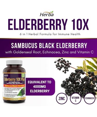 Herba Sambucus Black Elderberry Capsules 2 000mg Equivalent | Immune Booster for Adults | 10:1 with Echinacea and Goldenseal Root Vitamin C and Zinc | Elderberry Supplement to Help Relieve Symptoms of Cold Flu and Sore Throat | Extra Strength 60 Vegetable - Buy Online on GoSupps.com