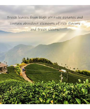 Trilliant-Fomsa Tea Th Oolong laiteux th JinXuan de haute montagne JinXuan cueilli la main feuilles de th en vrac th gongfu de Taiwan coffret cadeau 4oz notes de beurre et laiteuses Notas mantecosas y l cteas - Buy Online on GoSupps.com
